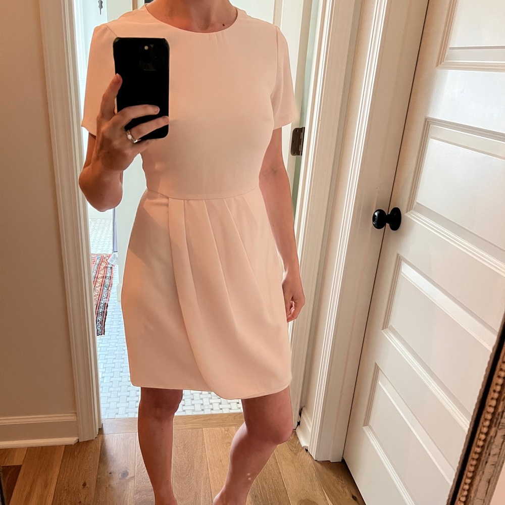 Club Monaco blush dress with short sleeves